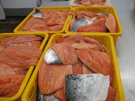 Pacific Salmon (fillets)