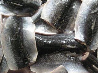 Atlantic Herring (fillets) 4-6 count/kg
