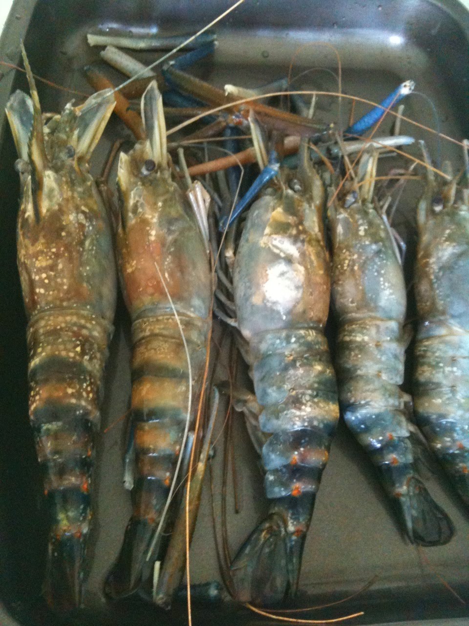 Sweet and Sour Freshwater Prawns thecookingpedia