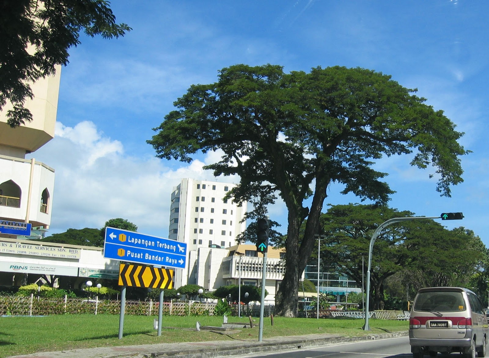 Rain Tree Singapore