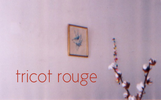 Tricot Rouge