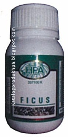 Katalog Produk HPA Ficus (Herba Buasir)