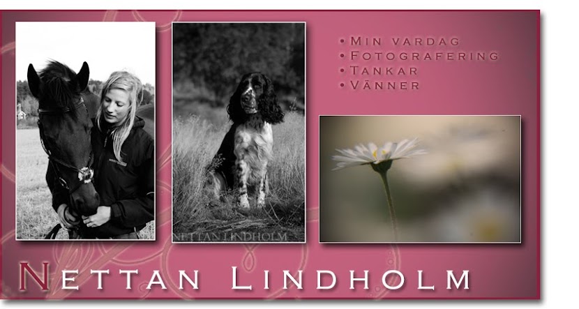 Nettan Lindholm