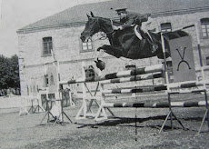 Martinez de Albornoz