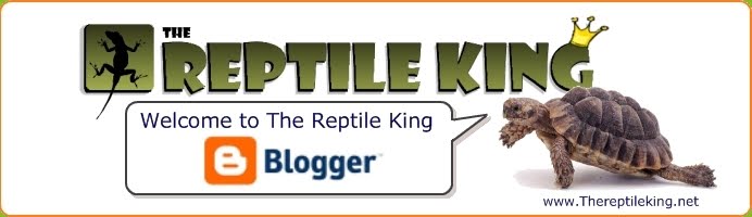 The Reptile King's Latest News