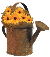 [rustycanx.png]