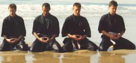 The Ninjas Meditation