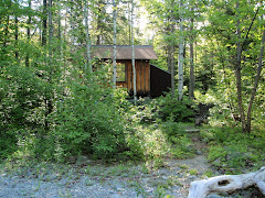 Sugarpebble Cabin, Maine