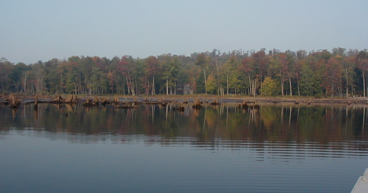 Duck Harbor Pond