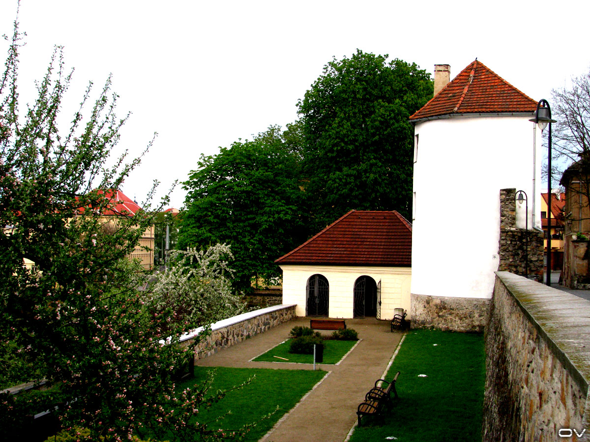 [Tabor-2.5.2008-005.jpg]