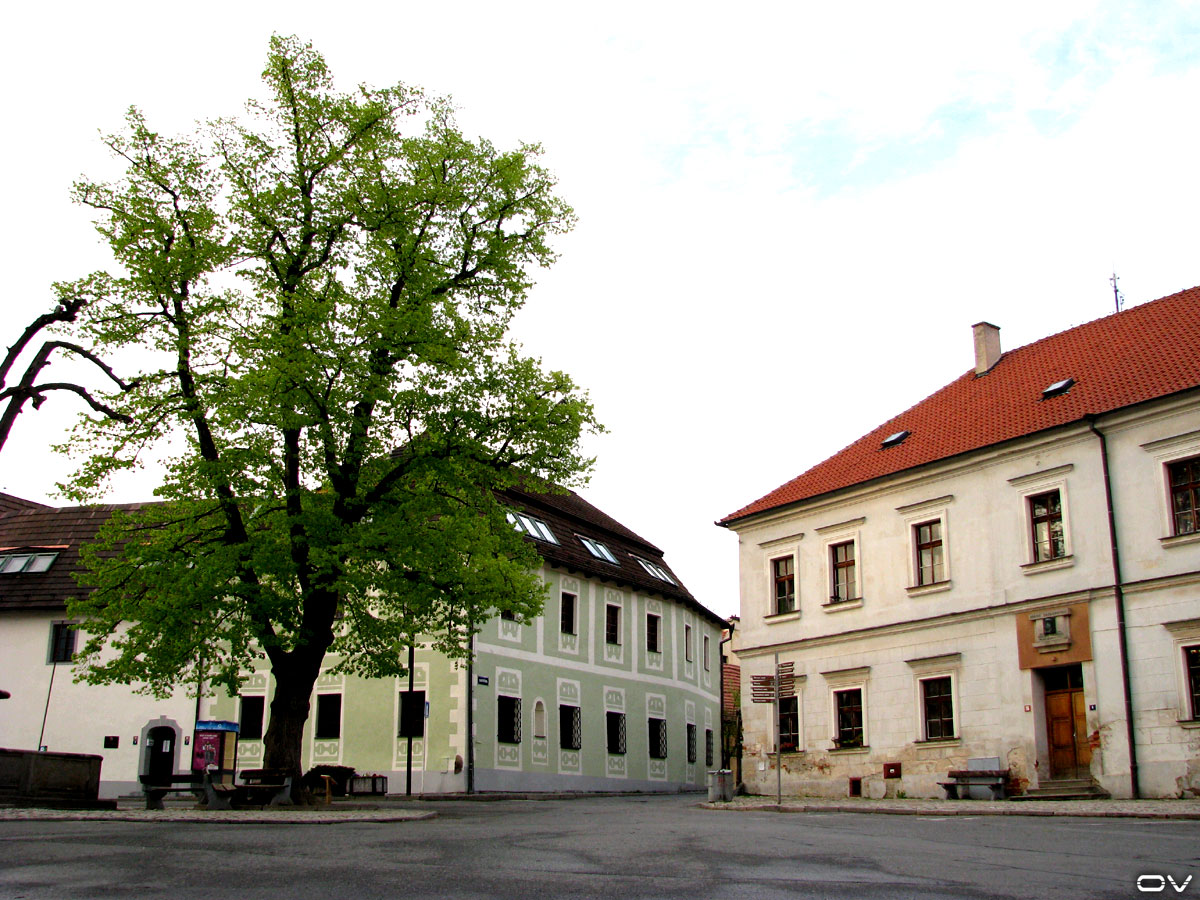 [Tabor-2.5.2008-004.jpg]