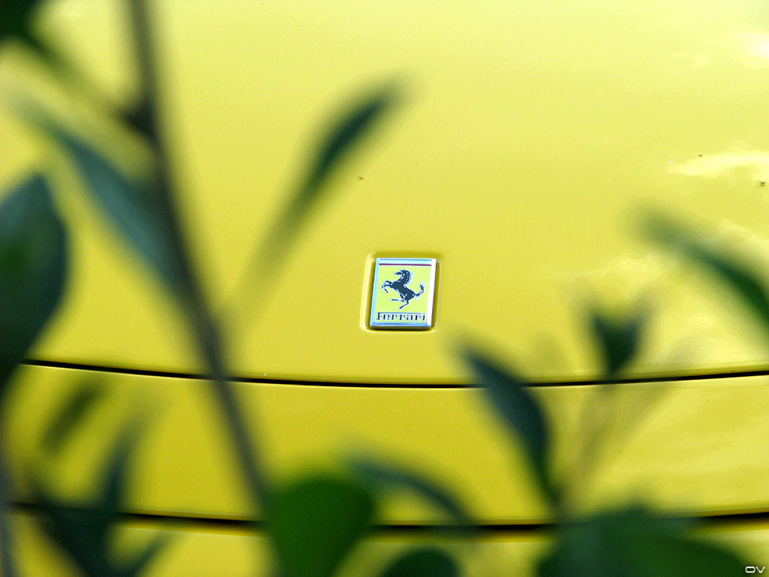 [F430-Spider-21.6.08-008.jpg]