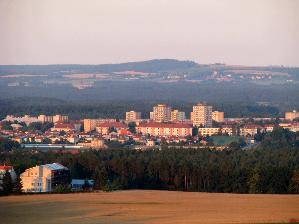 [Evening-28.7.2008-005.jpg]