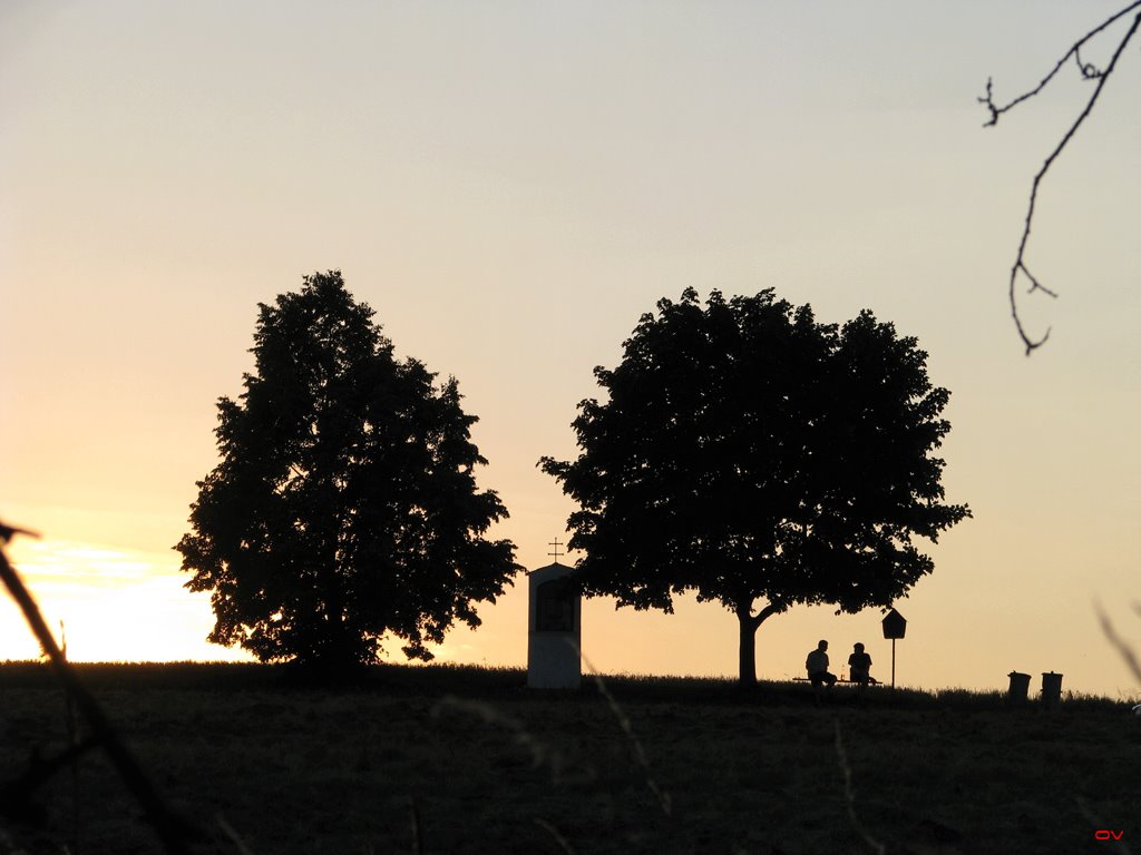 [Evening-28.7.2008-004.jpg]