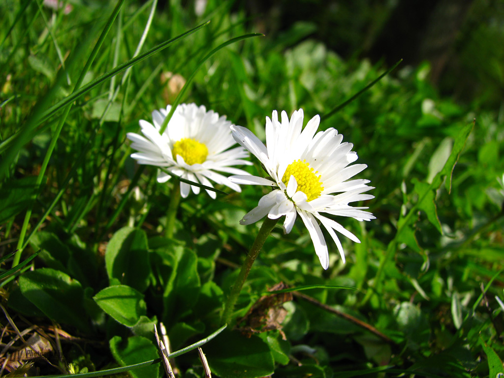 [Tabor-19.04.09-006.jpg]