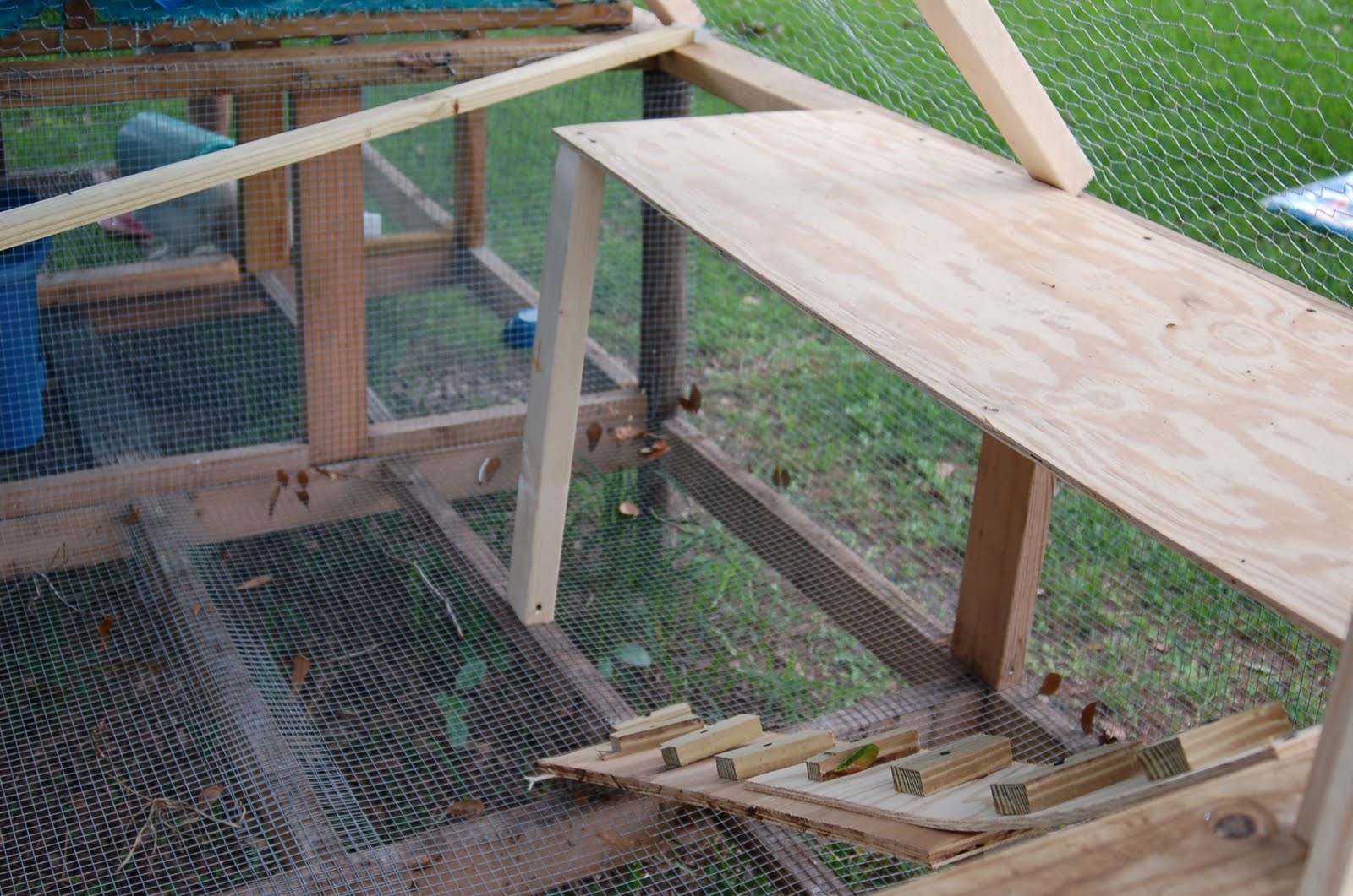 Quick Tips to Raising Your Own Chickens