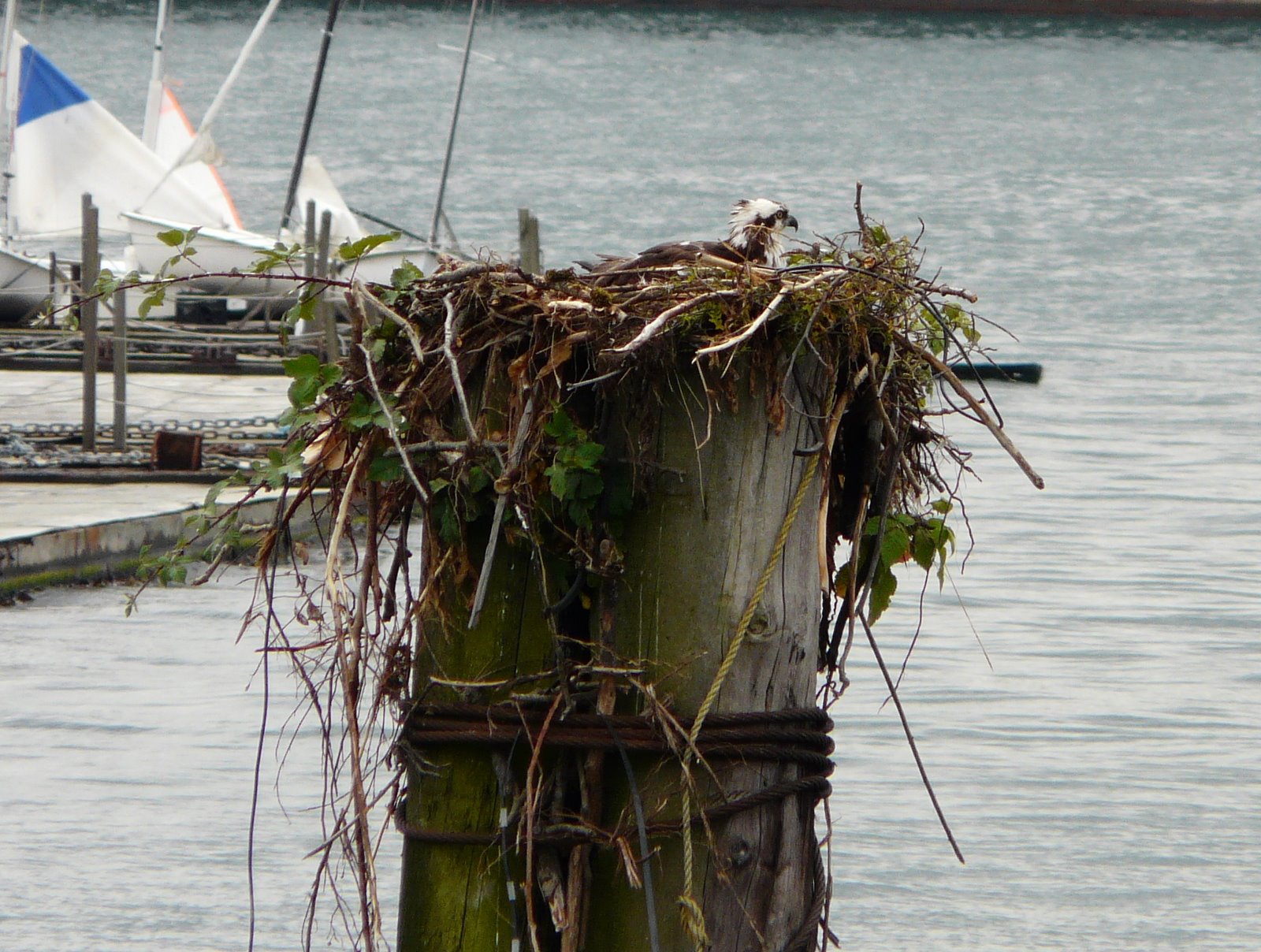 [P1210497.JPG]