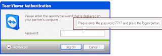 Password TeamViewer