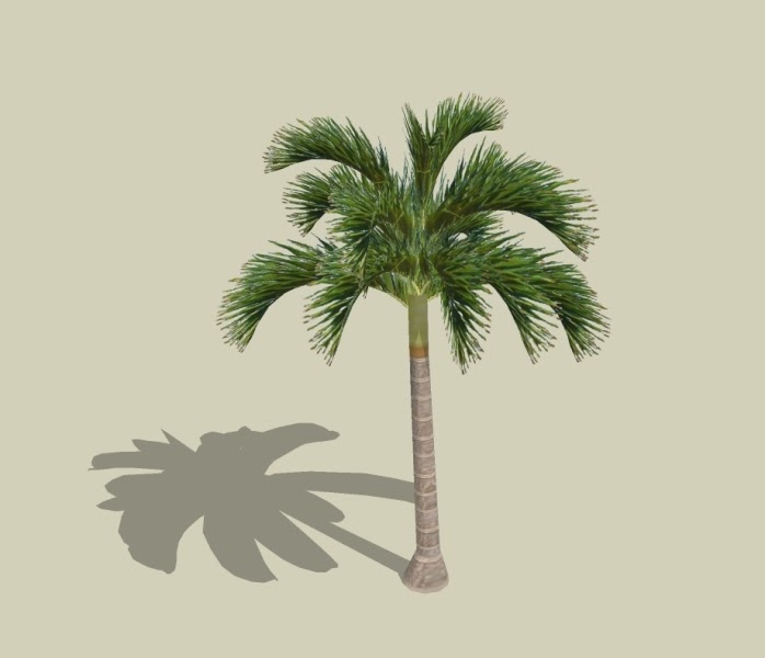 OUR PHILIPPINE TREES The Digital Native Palm