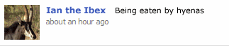 funny status lines