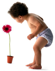 [baby-and-gerbera[1].jpg]
