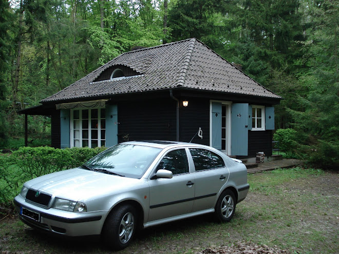 Unsere Jagdhütte, einsam im Wald