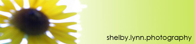 shelby.lynn.oliver