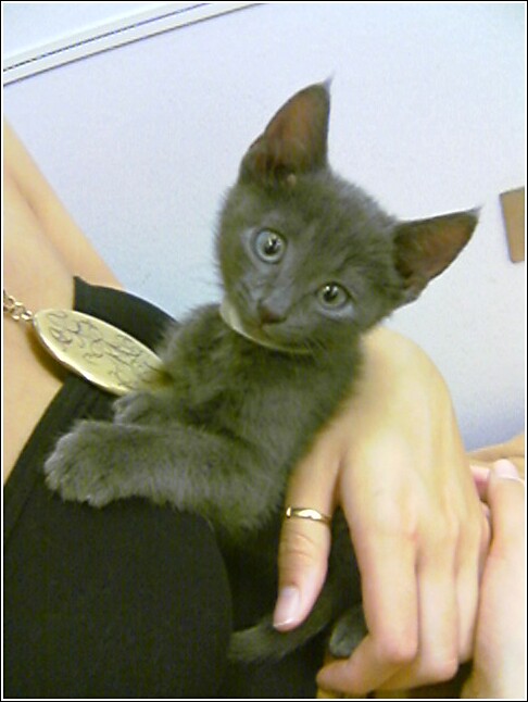 [80554920069330015ko.jpg]