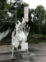 [P1180037_resize.JPG]