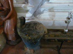 [P1180061_resize.JPG]