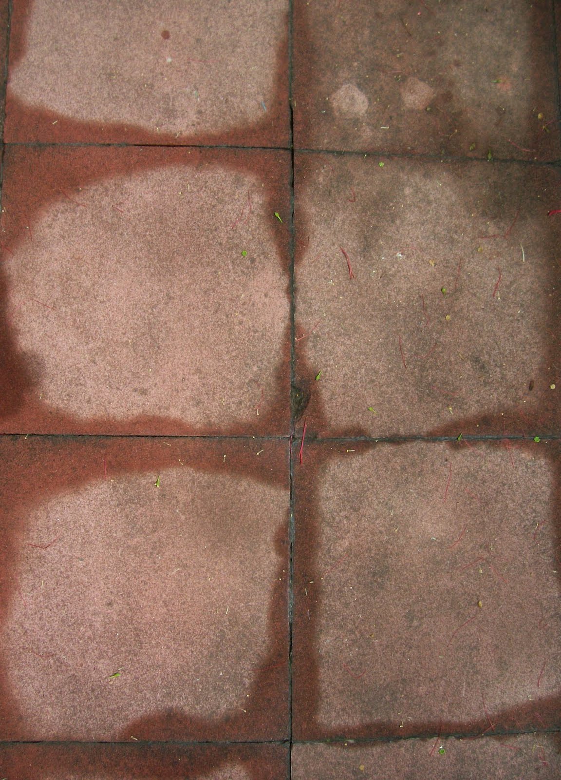 [miércoles+187.jpg]