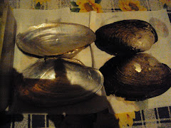 MARISCOS