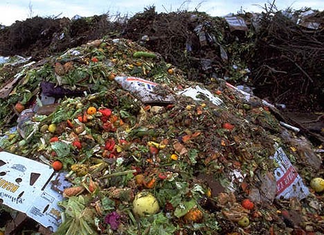La FAO veut mettre fin aux gaspillages alimentaires la-fao-veut-mettre-fin-aux-gaspillages-alimentaires