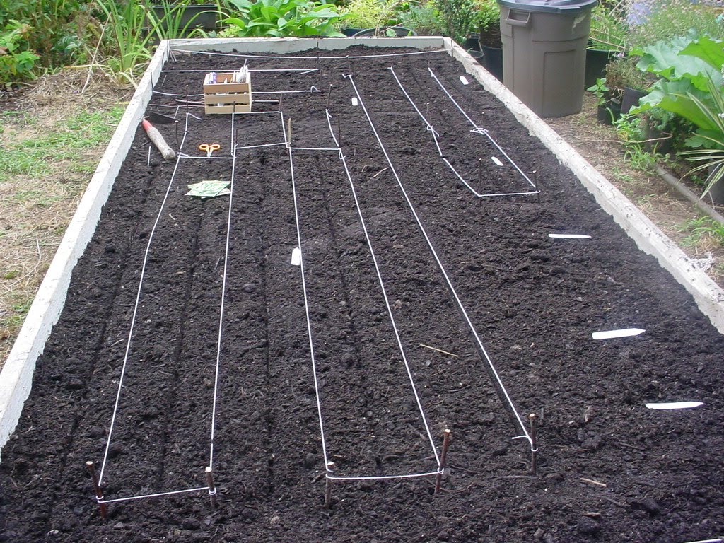 Garden of Discovery: Anatomy of a Garden Box