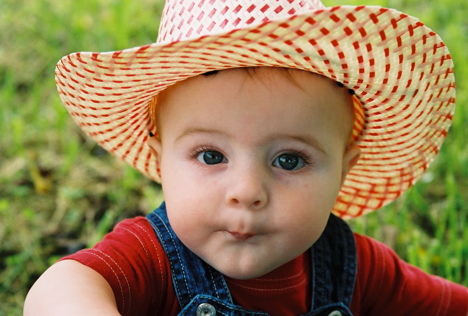 [2128030-R1-013-5.jpg]