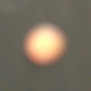 [CIMG5991-small.jpg]