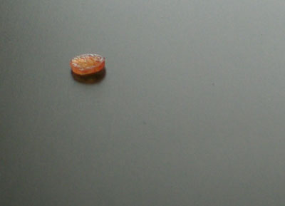 [CIMG6001-small.jpg]