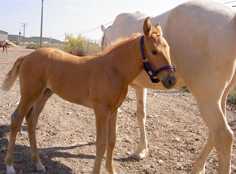 [PICT5282+(Medium).JPG]