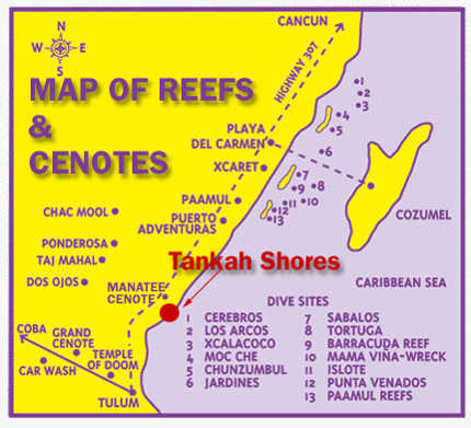 Fenomena Sungai di Bawah Laut Cenote Angelita (Penjelasan)