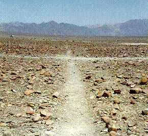 [nazca_path.jpg]
