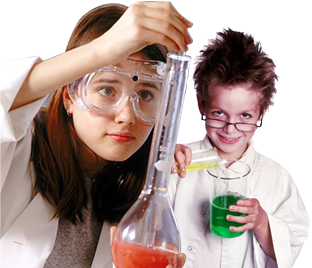 Middle School Science Project | Exam Center