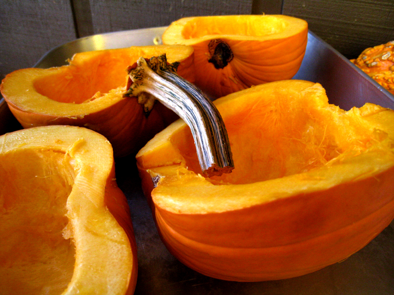 Spicy Bohemian GlutenFree Pumpkin Pie