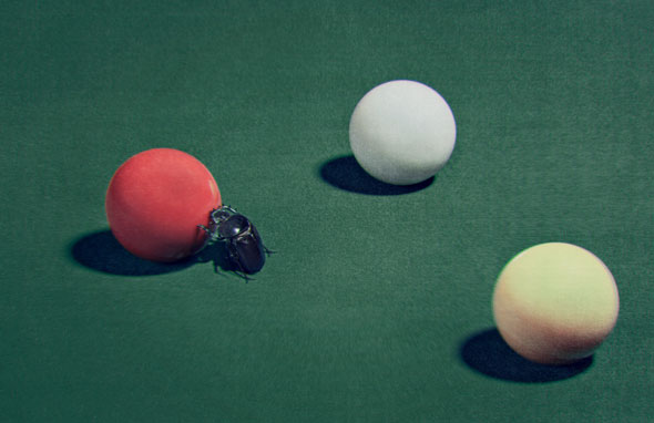 [fass_cattelan_08_h.jpg]