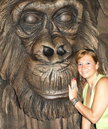 Animal Kingdom
