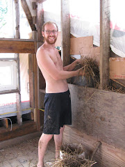 Timberframe Light Clay Straw Loft  Wall