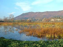 PLAIAUNDI Y JAIZUBIA