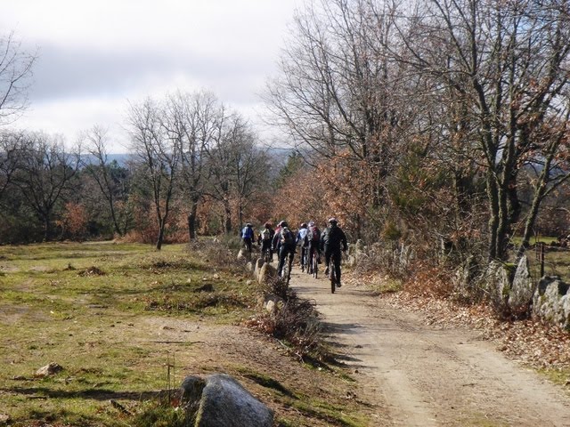 [DSC04063.JPG]