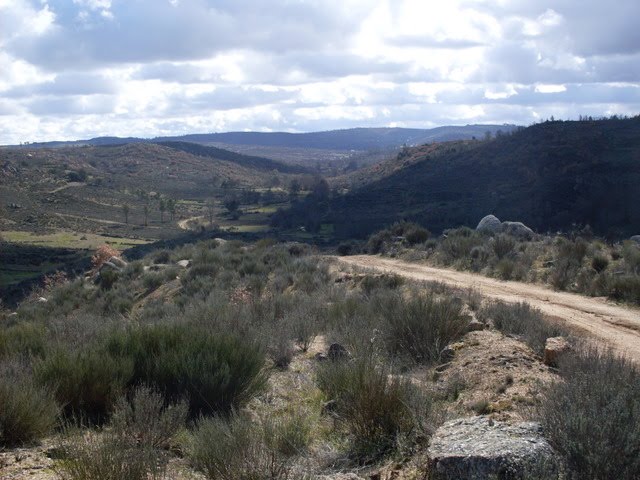 [SDC12074.JPG]