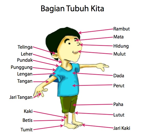 Tubuh Kita
