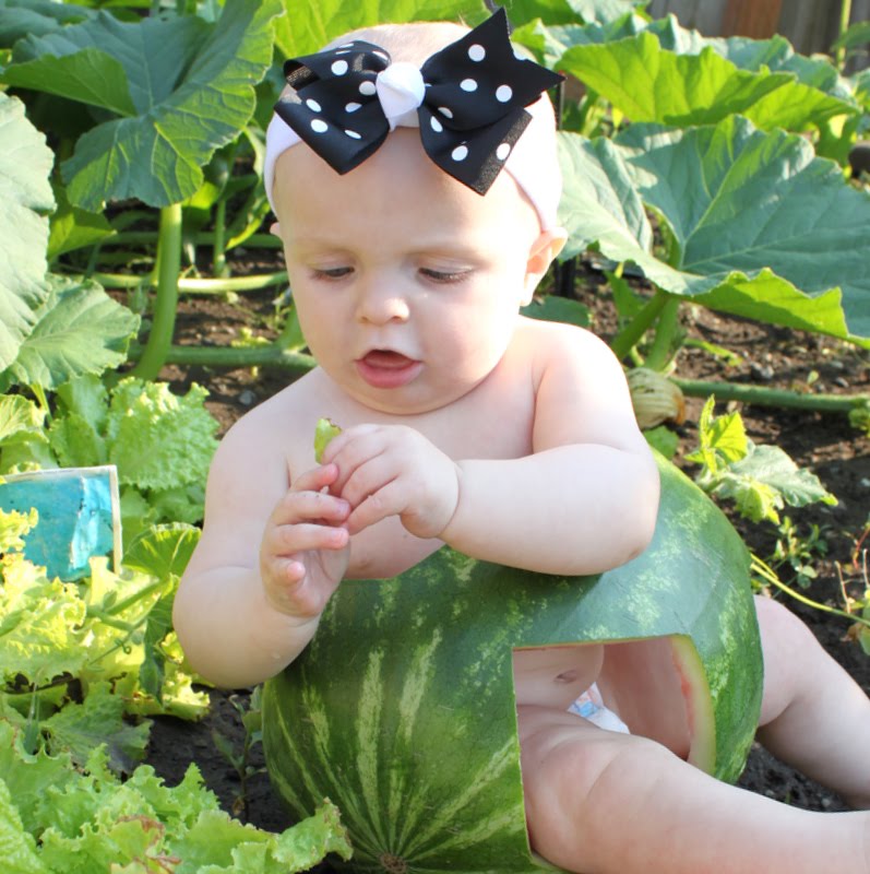 Create It Dabble Watermelon Baby